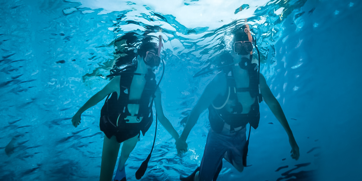 Water sports / Diving